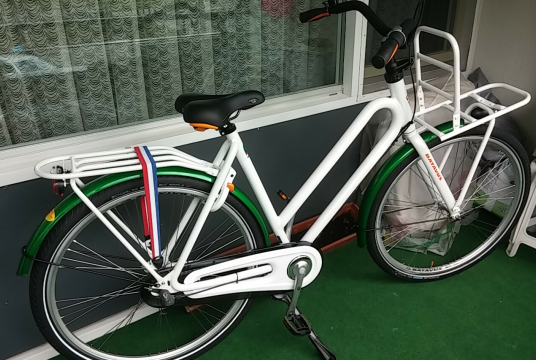 Batavus postcodeloterij fiets nieuw 300€