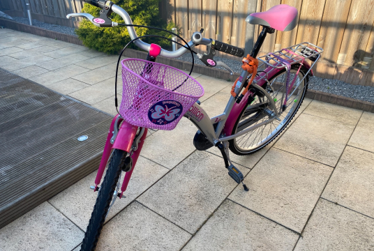 Bike fun - Papillon 26” - meisjes fiets