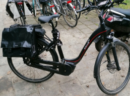 Ebike, electrische fiets, bosch active line