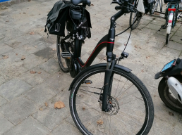 Ebike, electrische fiets, bosch active line